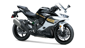 NINJA ZX 4RR ABS - Miniatura 1